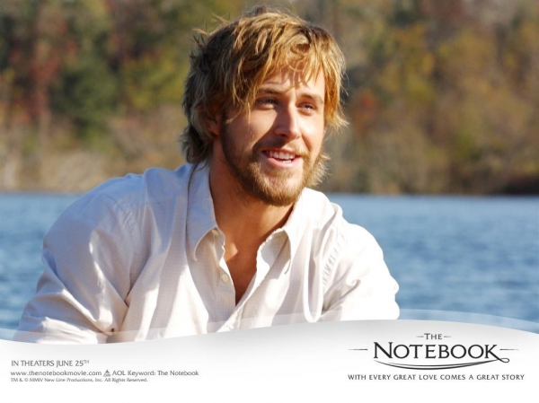 the-notebook_144ec2.jpg